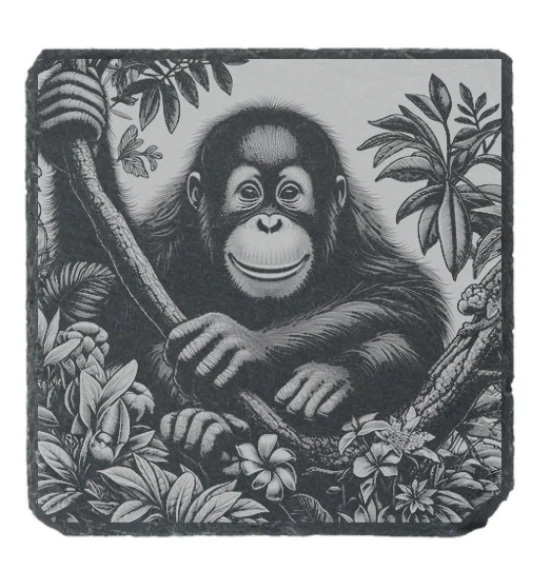 chimp engraved coaster