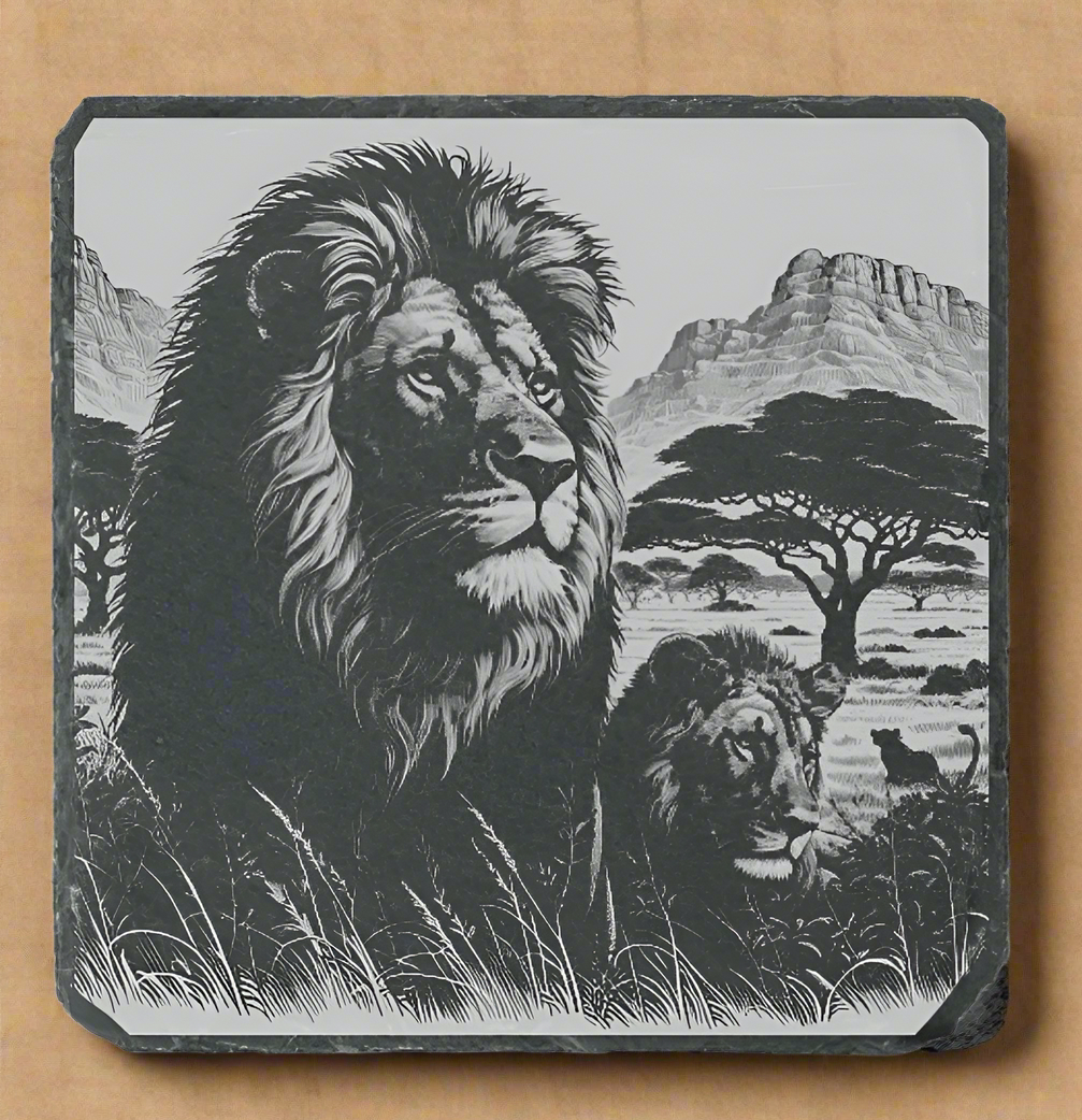 lion pride on slate coaster