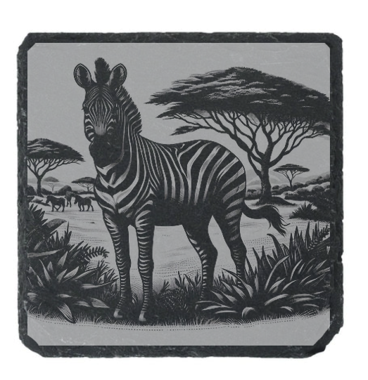 Zebra Engraved Slate / Bamboo Coaster - Gift for Animal Lover